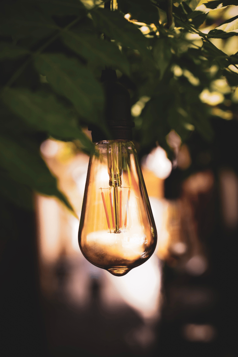 sustainability journey